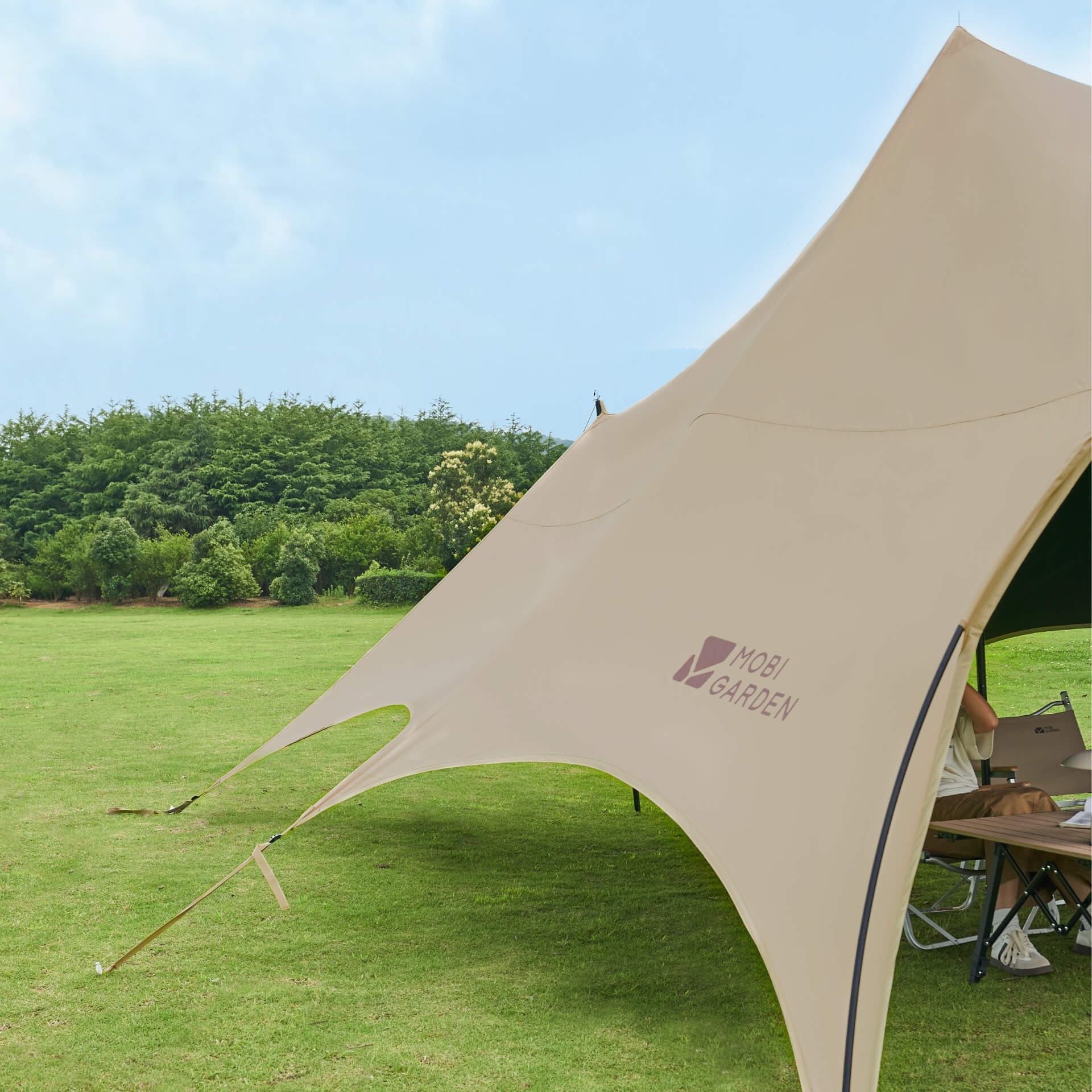 Vista Canopy A270 Black Coating Tarp - Mobi Garden